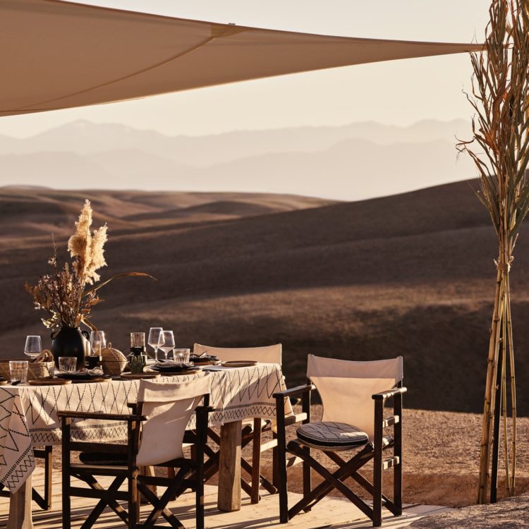DESERT DREAMING