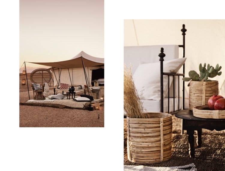 DESERT DREAMING