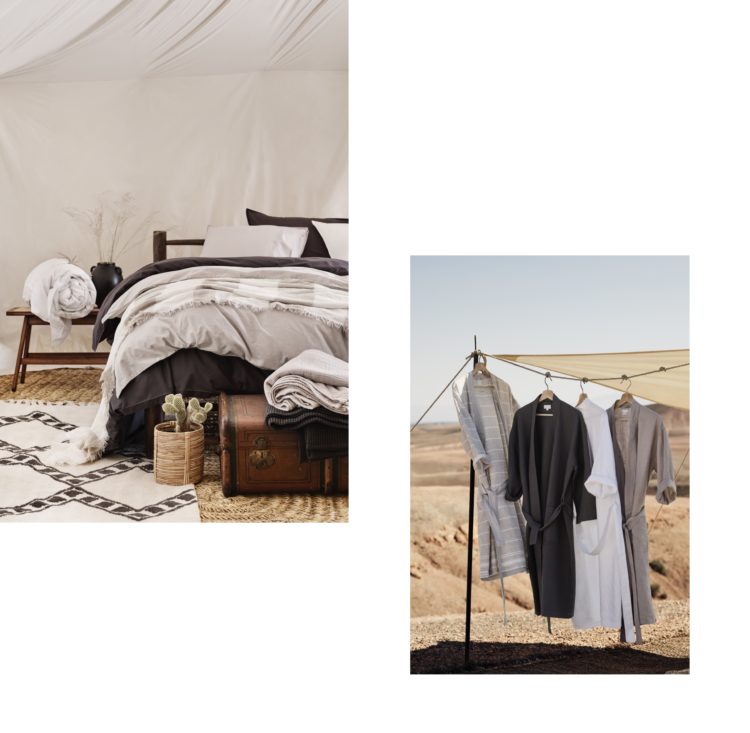 DESERT DREAMING