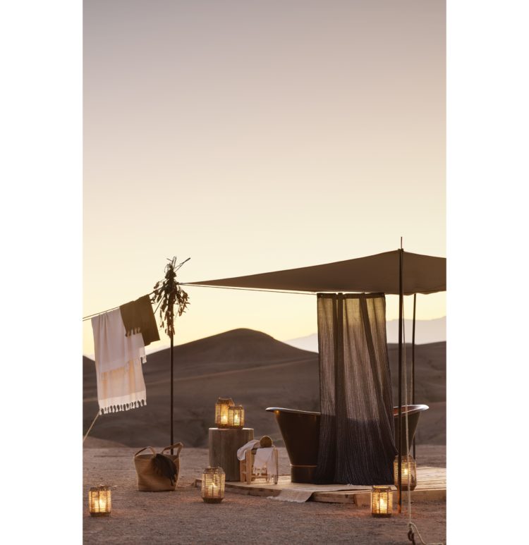 DESERT DREAMING
