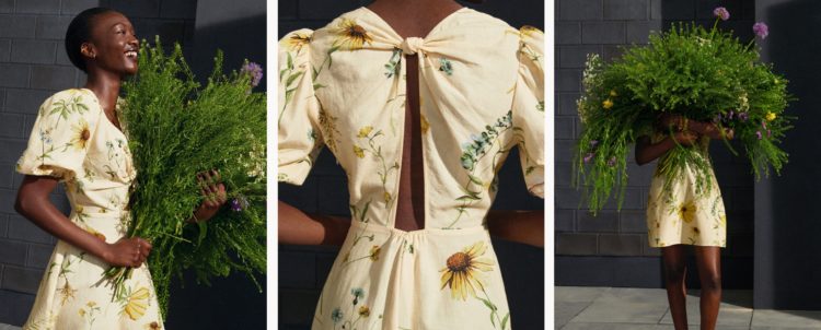A meadow of wildflowers <br><small>The collection handpainted by us, to be loved by you</small>