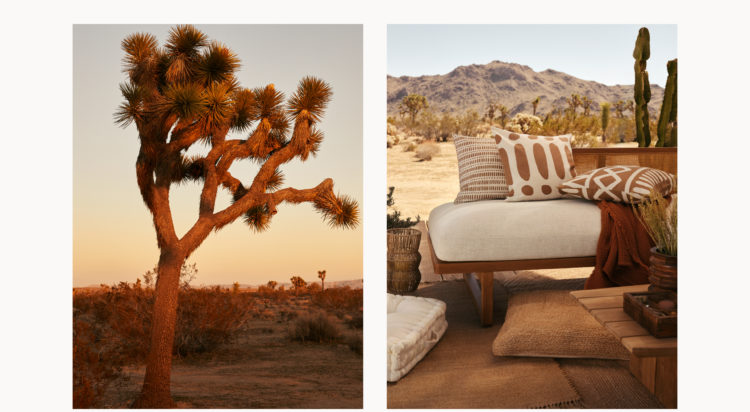 Ode to the outdoors <br><small>Tag along to Joshua Tree national park for a stylish glamping experience!</small>
