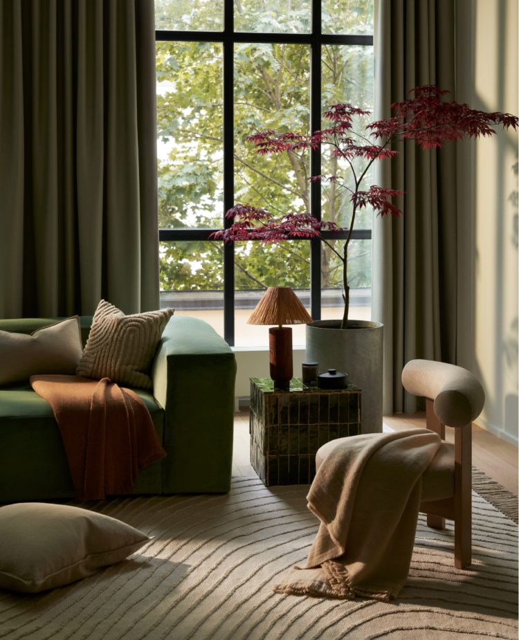 Fall in harmony <br><small>The stillness of nature</small>