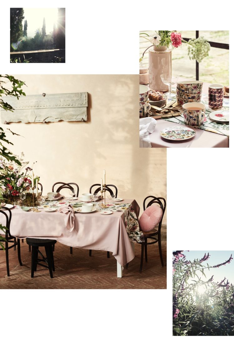 THE SECRET GARDEN