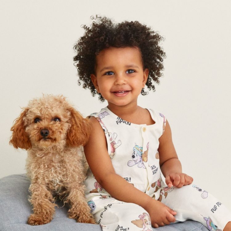 Meet our new PAW Patrol friends