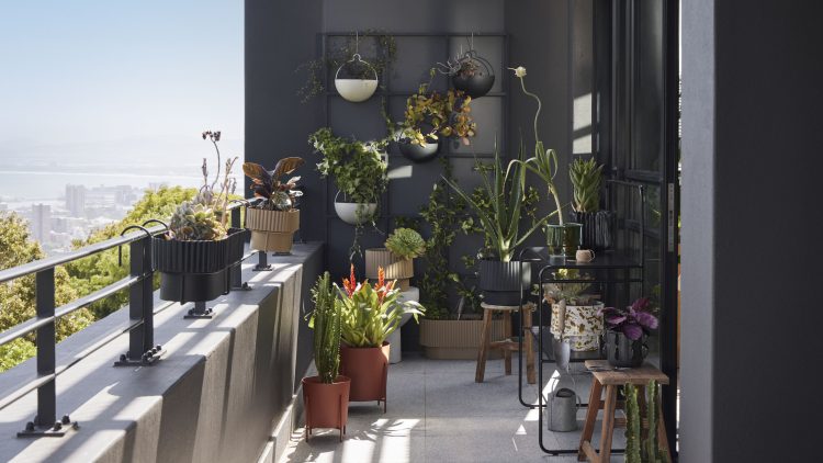 Spring home makeover