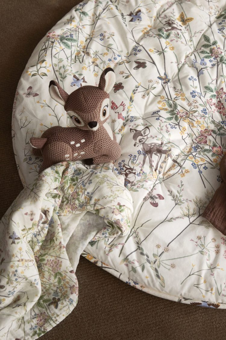 <c>Disney HOME x Sanderson<c>